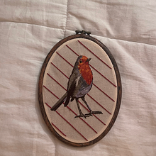 My project for course: Painting with Thread: Textile Illustration Techniques. Un projet de Illustration traditionnelle, Broderie , et Design textile de Kelsey - 15.03.2023