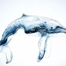 Mon projet du cours : Techniques d'illustration naturaliste : baleines à l'aquarelle. Fine Arts, Painting, Watercolor Painting, and Naturalistic Illustration project by Ophélie Camélia - 03.15.2023