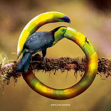 Meu projeto do curso: Fotomontagem e ilustrações fantásticas com Photoshop - treta. Un progetto di Fotografia, Collage, Ritocco fotografico, Illustrazione digitale, Composizione fotografica e Fotomontaggio di Nelson Gerene Júnior - 15.03.2023