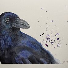 My project for course: Expressive Animal Portraits in Watercolor Crow. Traditional illustration, Watercolor Painting, Realistic Drawing, and Naturalistic Illustration project by ableitung_misc - 03.15.2023