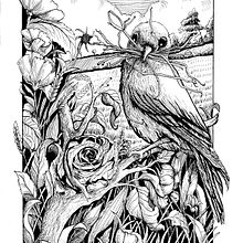 Mi proyecto del curso: Ilustración con tinta y plumilla: captura el mundo natural. Projekt z dziedziny Sketching,  R, sunek,  R, sunek art, st, czn, Sketchbook,  R, sunek atramentem, Ilustracja naturalist i czna użytkownika silviamarecos - 16.03.2023