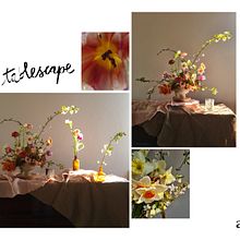 Il mio progetto del corso: Floral design con fiori stagionali Ein Projekt aus dem Bereich Innendesign, Dekoration von Innenräumen, DIY und Blumen- und Pflanzendesign von letiziacarta_1 - 19.03.2023