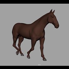 Horse Cycle (walk, trot, gallop). 3D Animation project by Irene Bretón Nieto - 03.20.2023