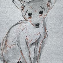 My project for course: Animal Illustration with Charcoal and Ink. Un progetto di Belle arti, Disegno, Illustrazione con inchiostro e Illustrazione naturalistica di Susan Cartwright - 20.03.2023