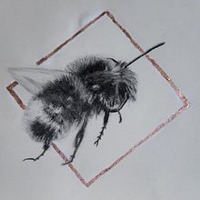 My project for course: Illustrating the Natural World with Watercolor and Charcoal. Traditional illustration, Painting, and Naturalistic Illustration project by debashcrofts - 03.20.2023
