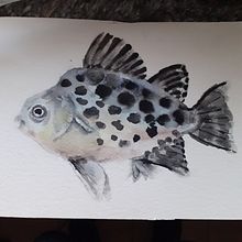 Il mio progetto del corso: Illustrazione⁹ di universi marini ad acquerello. Painting, Naturalistic Illustration, Traditional illustration, and Watercolor Painting project by Milena Carli - 03.21.2023