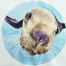 My project for course: Expressive Animal Portraits in Watercolor. Traditional illustration, Watercolor Painting, Realistic Drawing, and Naturalistic Illustration project by Viera Strakova - 03.22.2023