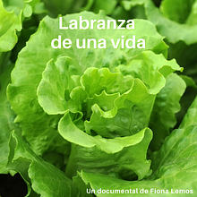 Labranza de una vida Ein Projekt aus dem Bereich Kino, Video und TV von Fiona Lemos Pérez - 22.03.2023