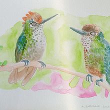 Aves. Un projet de Illustration traditionnelle de Andrea Zamorano R. - 22.03.2023
