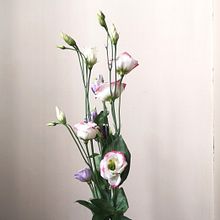 Mi proyecto del curso: Diseño de arreglos con flores de temporada. Un proyecto de Diseño de interiores, Paisajismo, Decoración de interiores, DIY, Diseño floral y vegetal de Luisa Pérez Gortari - 22.03.2023