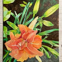 Day Lilies . Un proyecto de Pintura de Leslee Hare - 22.03.2023