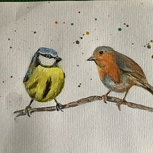 My project for course: Artistic Watercolor Techniques for Illustrating Birds. Projekt z dziedziny Trad, c, jna ilustracja, Malowanie akwarelą, R, sunek realist, czn, Ilustracja naturalist i czna użytkownika Elspeth Hamilton - 23.03.2023