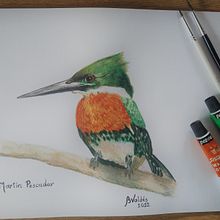 Aves de mi país. Traditional illustration, Watercolor Painting, Realistic Drawing, and Naturalistic Illustration project by Beatriz Valdés - 03.23.2023