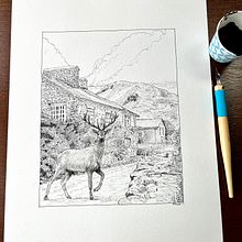 Latest Project . Un proyecto de Ilustración tradicional, Ilustración con tinta, Dibujo e Ilustración naturalista				 de Matthew Taylor - 23.03.2023