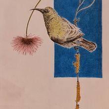 My project for course: Naturalist Illustration with Ballpoint Pen . Traditional illustration, Drawing, Realistic Drawing, and Naturalistic Illustration project by sjwsarahjane - 03.17.2023