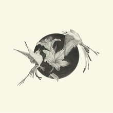 Entre la vida y la muerte: grafito.. Un proyecto de Dibujo a lápiz, Dibujo, Dibujo artístico e Ilustración naturalista				 de Maggie Velarde - 25.03.2023