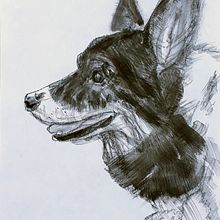 My project for course: Animal Illustration with Charcoal and Ink. Fine Arts, Drawing, Ink Illustration, and Naturalistic Illustration project by nancy_durant - 03.26.2023