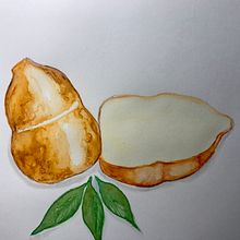 Mi proyecto del curso: Técnicas aplicadas de ilustración en acuarela (Mis Provolones). Un progetto di Illustrazione tradizionale, Belle arti, Pittura e Pittura ad acquerello di Marlen R. Espinoza - 26.03.2023