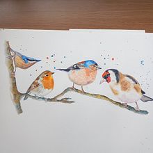 My project for course: Artistic Watercolor Techniques for Illustrating Birds . Ilustrație tradițională, Pictură în acuarelă, Desen realist & Ilustrație naturalistă de Barbara Johnson - 03.26.2023