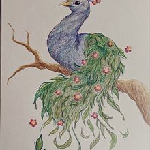 My project for course: Surrealist Illustration Inspired by Nature. Un progetto di Illustrazione tradizionale, Disegno a matita, Disegno, Disegno artistico, Illustrazione naturalistica e Disegno con matite colorate di madame_madness - 26.03.2023