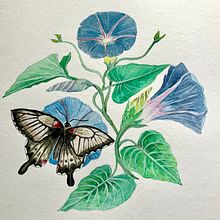 Mon projet du cours : Illustration naturaliste à l'aquarelle et à la gouache. Un progetto di Belle arti, Pittura, Pittura ad acquerello, Illustrazione botanica, Illustrazione naturalistica e Pittura gouache di Pascal Manny - 27.03.2023