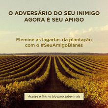 Meu projeto do curso: Copywriting: princípios da redação publicitária. Advertising, Marketing, Cop, writing, Creativit, and Content Writing project by Everton Barboza - 03.26.2015