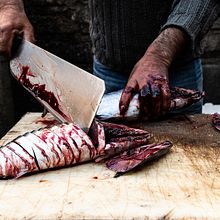 Quick trip to Catania. Photograph project by Anna Volpi - 01.31.2023