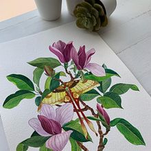 Mi proyecto del curso: Ilustración naturalista con gouache y acuarela Ein Projekt aus dem Bereich Bildende Künste, Malerei, Aquarellmalerei, Botanische Illustration, Naturalistische Illustration und Gouachemalerei von Pili Guardiola - 28.03.2023