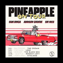 Pineapple Records ON TOUR illustration Ein Projekt aus dem Bereich Traditionelle Illustration, Design, Animation, Design von Figuren und Grafikdesign von Sanja Grozdanovic - 28.03.2023