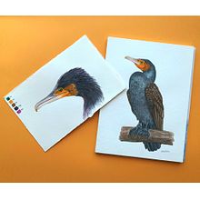 Mi proyecto del curso: Ilustración naturalista de aves con acuarela. Traditional illustration, Watercolor Painting, Realistic Drawing, and Naturalistic Illustration project by Maribel Tornero Brugués - 03.29.2023