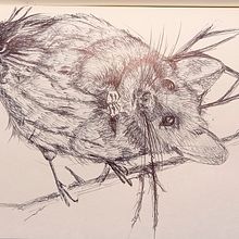 Mi proyecto del curso: Ilustración en sketchbook con bolígrafo: disfruta dibujando. Sketching, Drawing, Sketchbook & Ink Illustration project by Ayelén Arcos - 03.30.2023