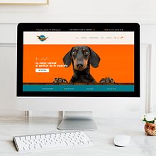 Creación de una tienda online DACHER BOUTIQUE - http://www.dacherboutique.com.mialias.net/. Un progetto di Informatica, Marketing, Web design, Web development, Marketing digitale, E-commerce, Sviluppo No-Code e Business di monicaabcn - 31.03.2023