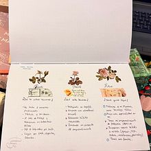 Mi proyecto del curso:  Bullet journal creativo: planificación y creatividad. Traditional illustration, Lettering, Drawing, H, Lettering, Management, and Productivit project by Elizabeth Condori - 03.31.2023