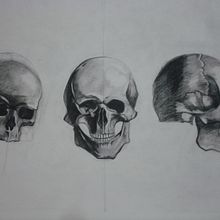 Still Life Study. Een project van  Tekening van Briar Pfaff - 01.04.2023