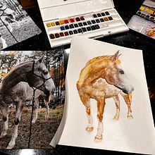 My project for course: Expressive Animal Portraits in Watercolor. Traditional illustration, Naturalistic Illustration, Watercolor Painting, and Realistic Drawing project by jborrelli99 - 04.11.2023