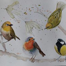 Mein Abschlussprojekt für den Kurs: Illustriere Vögel mit expressiven Aquarelltechniken. Traditional illustration, Watercolor Painting, Realistic Drawing, and Naturalistic Illustration project by a. kai. - 04.02.2023