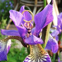 Vrijheid . Un progetto di Fotografia di Kaatje Kip - 03.04.2023