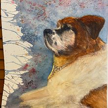 Mi proyecto del curso: Retratos expresivos de animales en acuarela. Traditional illustration, Realistic Drawing, and Naturalistic Illustration project by Solma GO - 04.03.2023