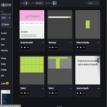 Mi proyecto del curso: Técnicas de desarrollo web con HTML5 y CSS3. UX / UI, IT, Information Design, Web Design, Web Development, CSS, and HTML project by Onán Silva Gonzalez - 04.01.2023