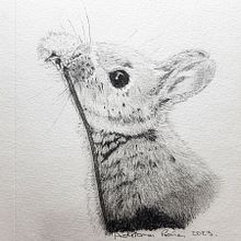 Mi proyecto del curso: Dibujo naturalista artístico a lápiz. Un progetto di Disegno a matita, Disegno, Disegno artistico e Illustrazione naturalistica di Adriana Peña - 31.03.2023