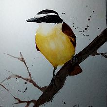 Mis aves favoritas. Un progetto di Illustrazione tradizionale di galongstaff - 03.04.2023