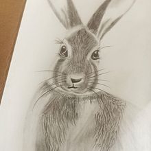 Bunny. Traditional illustration project by Cris N Sunny Shukla - 04.04.2023