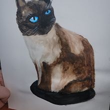 My project for course: Expressive Animal Portraits in Watercolor. Un projet de Illustration traditionnelle, Aquarelle, Dessin réaliste et Illustration naturaliste de Jemma Proctor - 03.04.2023