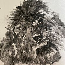 My project for course: Illustrating Nature: A Creative Exploration. Un progetto di Illustrazione tradizionale, Pittura, Disegno, Pittura ad acquerello, Illustrazione con inchiostro e Illustrazione naturalistica di Vanessa Wagner - 06.04.2023