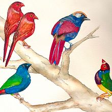My project for course: Artistic Watercolor Techniques for Illustrating Birds. Traditional illustration, Watercolor Painting, Realistic Drawing, and Naturalistic Illustration project by Brigitte Fabi - 04.01.2023