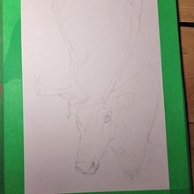 Mon projet du cours : Techniques expérimentales d’aquarelle pour débutants. Traditional illustration, Fine Arts, Watercolor Painting, and Naturalistic Illustration project by ju_michaud_88 - 04.02.2023