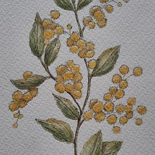 My project for course: Illustrating Nature with Watercolor and Pen. Un projet de Illustration traditionnelle, Beaux Arts, Peinture, Dessin, Aquarelle et Illustration botanique de Amy Paton - 05.04.2023