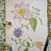My project for course: Realistic Watercolor for Botanical Compositions. Traditional illustration, Painting, Drawing, Watercolor Painting, and Botanical Illustration project by Fanny Johansson - 04.07.2023