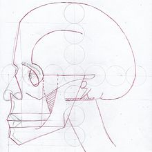 Mi proyecto del curso: Dibujo anatómico para principiantes. Een project van  Beeldende kunst,  Schetsen, Tekening met potlood,  Tekening, Realistische tekening y Anatomisch tekenen van Ana Moreno - 07.04.2023