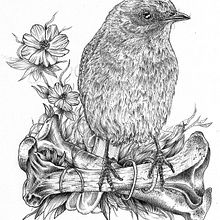 Mi proyecto del curso: Ilustración naturalista con bolígrafo. Ilustração tradicional, Desenho, Desenho realista e Ilustração naturalista projeto de Bendito Tatuaje - 08.04.2023